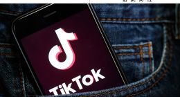 有關TikTok危機：為什么和受影響的