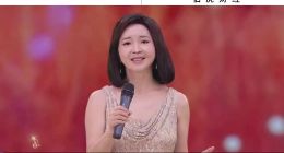 Sora搶不了誰的飯碗？