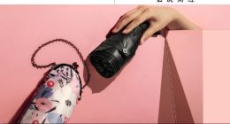 把傘的生意重新做一遍后，蕉下需要新支點