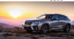 長城汽車站著把錢掙了 | 車圈