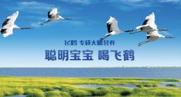 一生都是關鍵的中國人，怎能喝缺失關鍵技術的飛鶴？