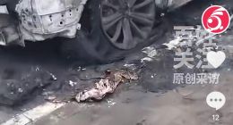 網(wǎng)傳長(zhǎng)城哈弗猛龍突發(fā)自燃 幾分鐘燒成灰燼空殼